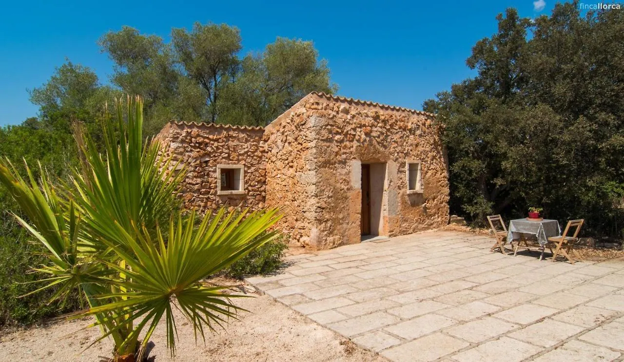 Sa Cantera Algaida  España