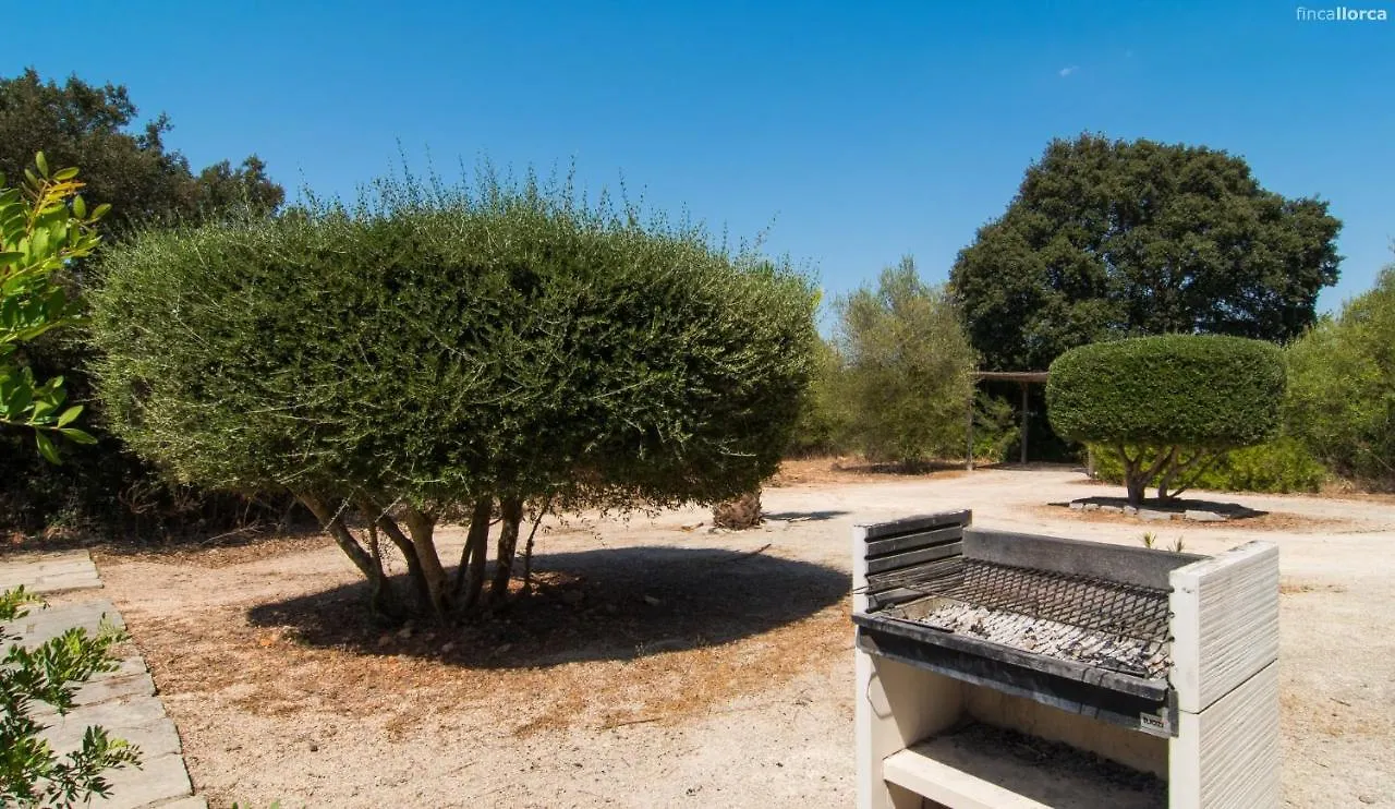 Sa Cantera Algaida  Algaida (Mallorca)